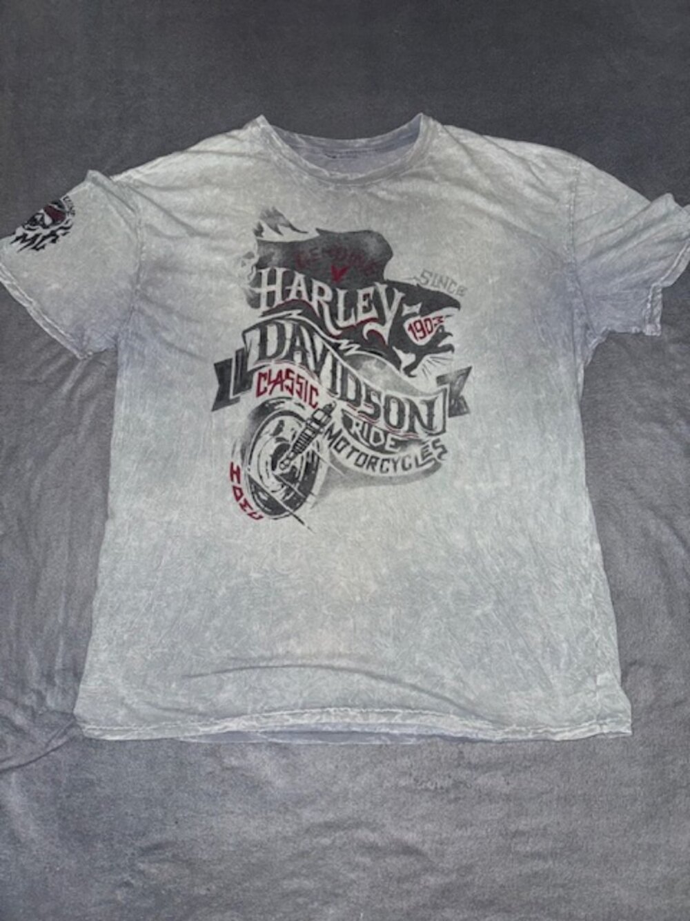 Harley-Davidson T-Shirt Men’s Size XL Gray Eureka Springs Arkansas Graphic Tee